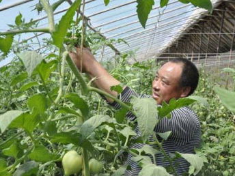 沙井農產品配送公司 以質量與服務雙輪驅動，護航深圳餐飲美食產業鏈