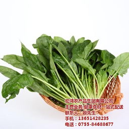 宏鴻農產品集團 一站式食材配送，守護餐桌健康與品質