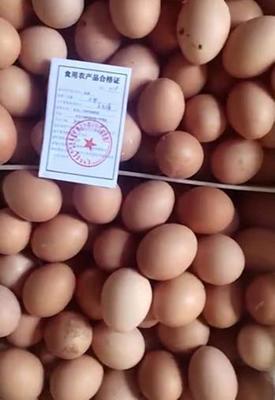 科左中旗發出首張食用農產品合格證，農產品質量安全管理邁入新階段